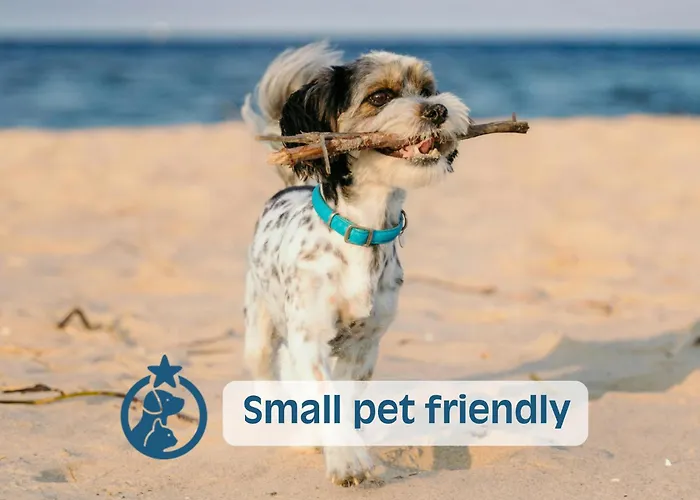 Ginestra Apartman Lignano Sabbiadoro