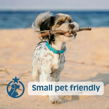 Ginestra Appartamento Lignano Sabbiadoro